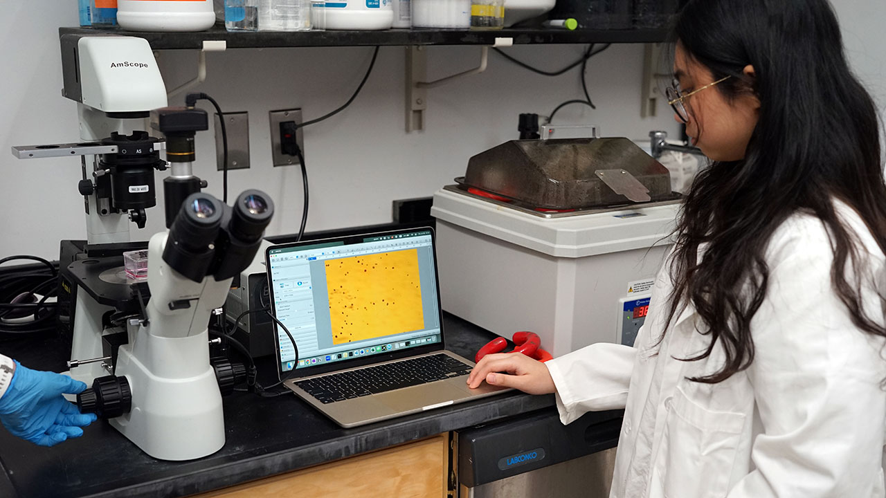 A student works on a computer in a research lab.