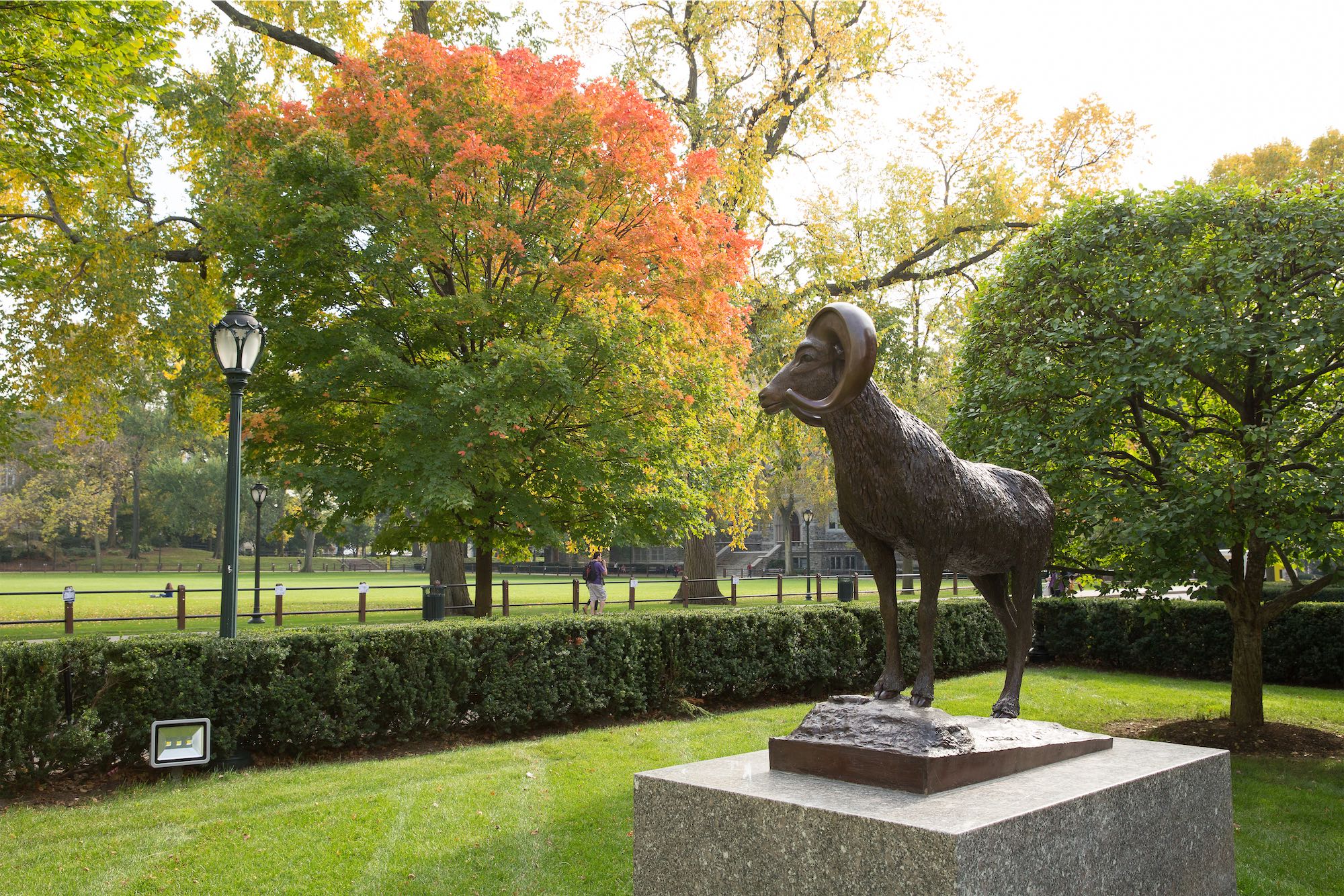 Rose Hill Ram Statue