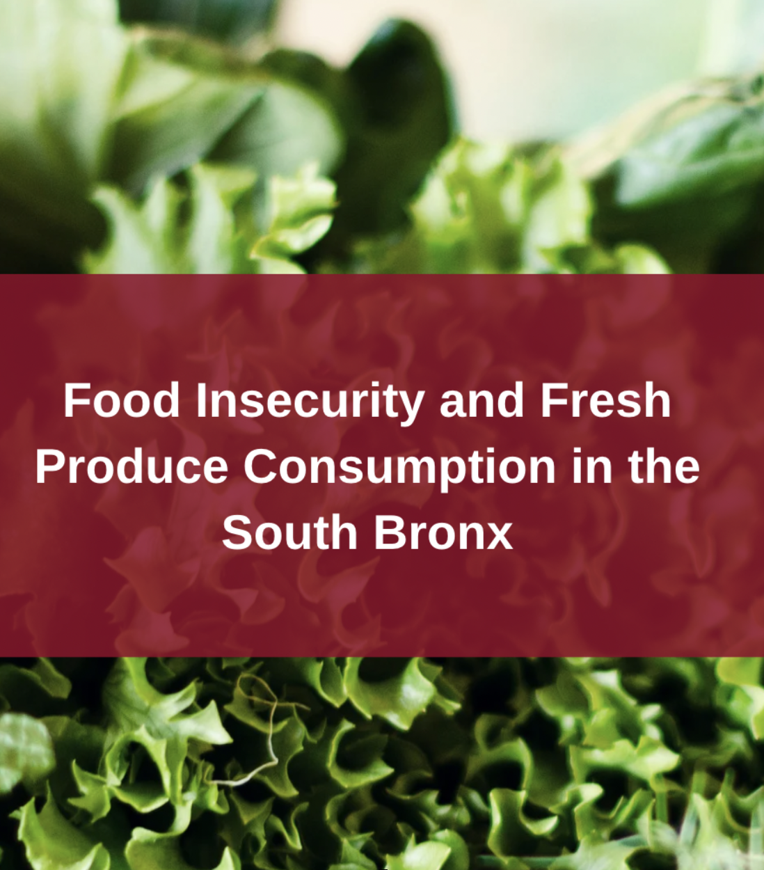 Food Insecurity and Fresh Produce Consumption in the South Bronx