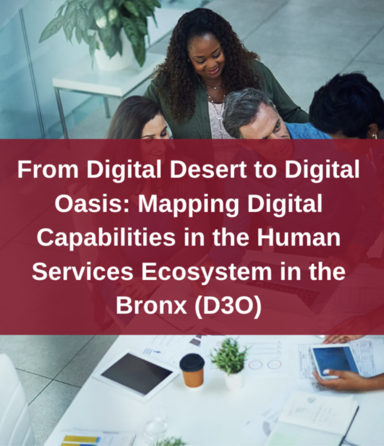 From Digital Desert to Digital Oasis: Mapping Digital Capabilities in the Human Services Ecosystem in the Bronx (D3O)