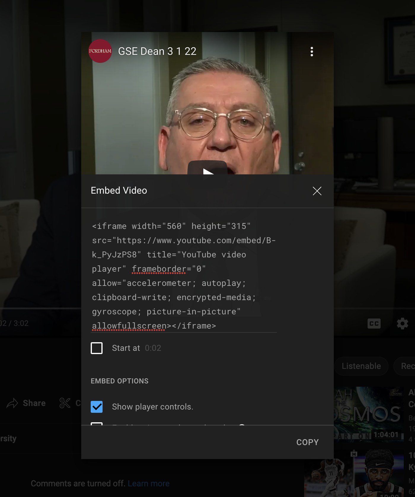 YouTube Embed options